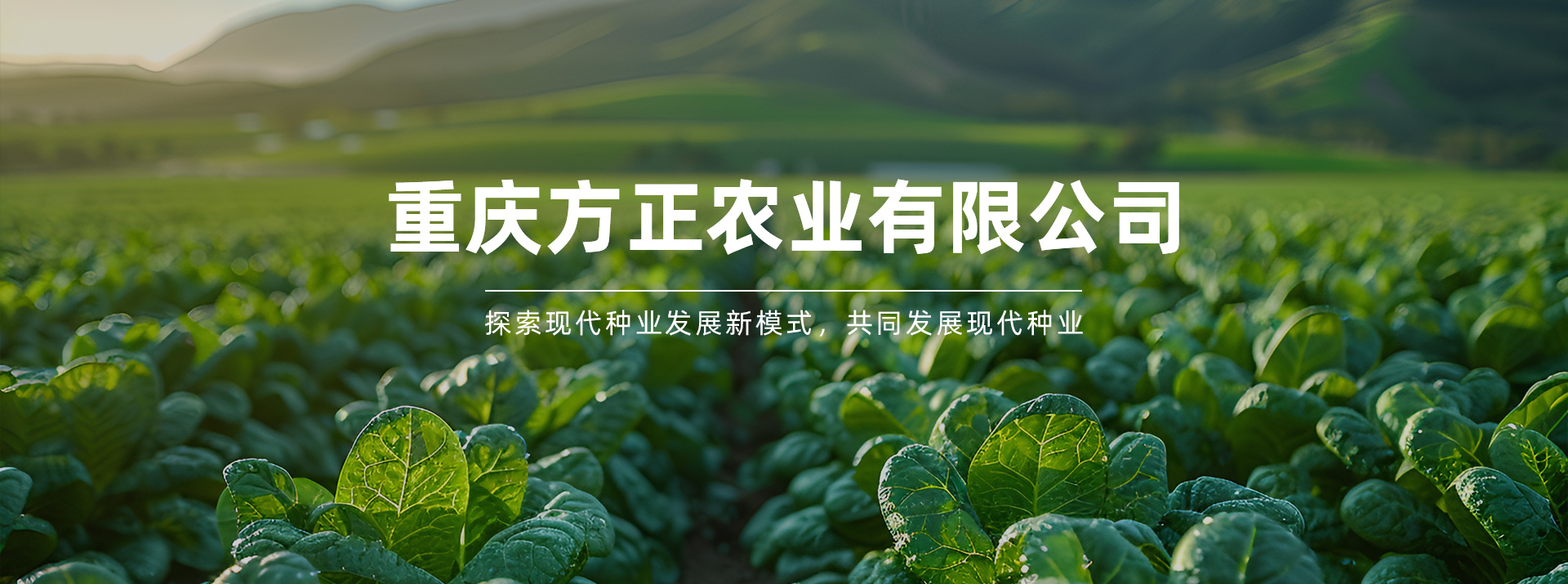 方正農(nóng)業(yè)