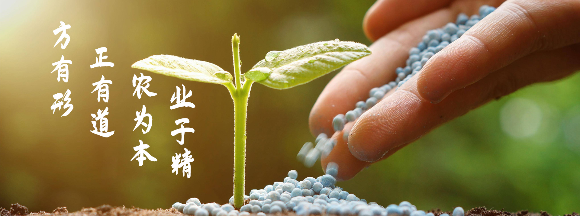 方正農(nóng)業(yè)